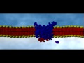 Cell Membrane Passive Transport | Cell Biology