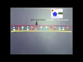 DNA replication- Great Video!